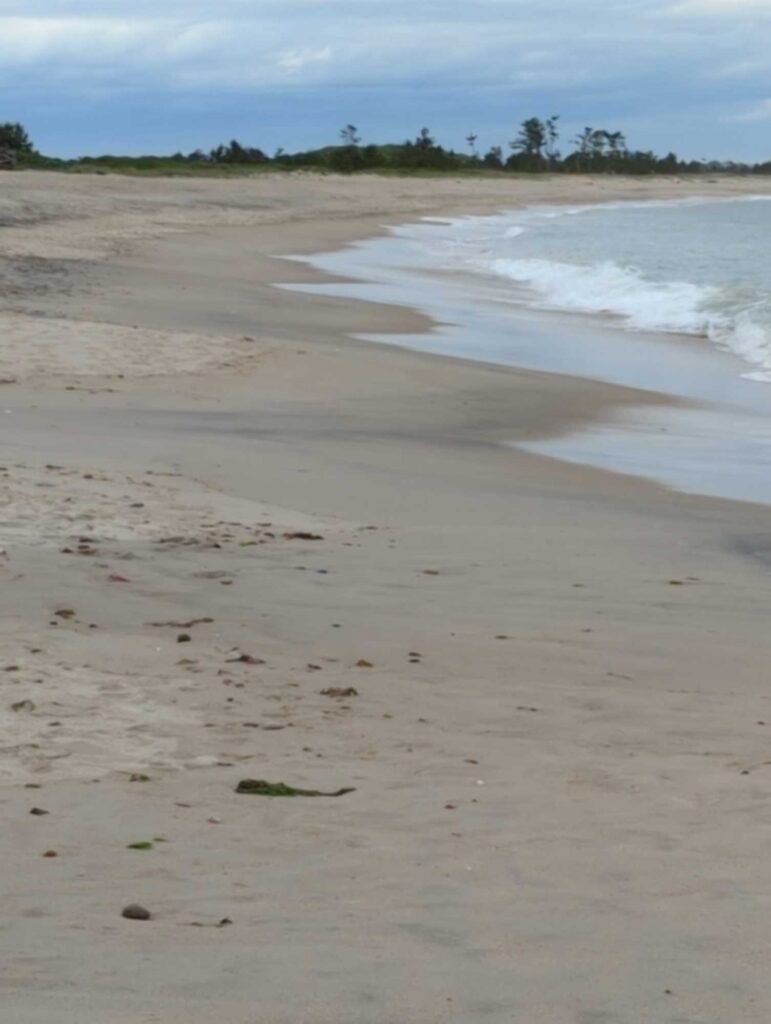 a sandy beach with waves crashing on it (MyCoast AI)