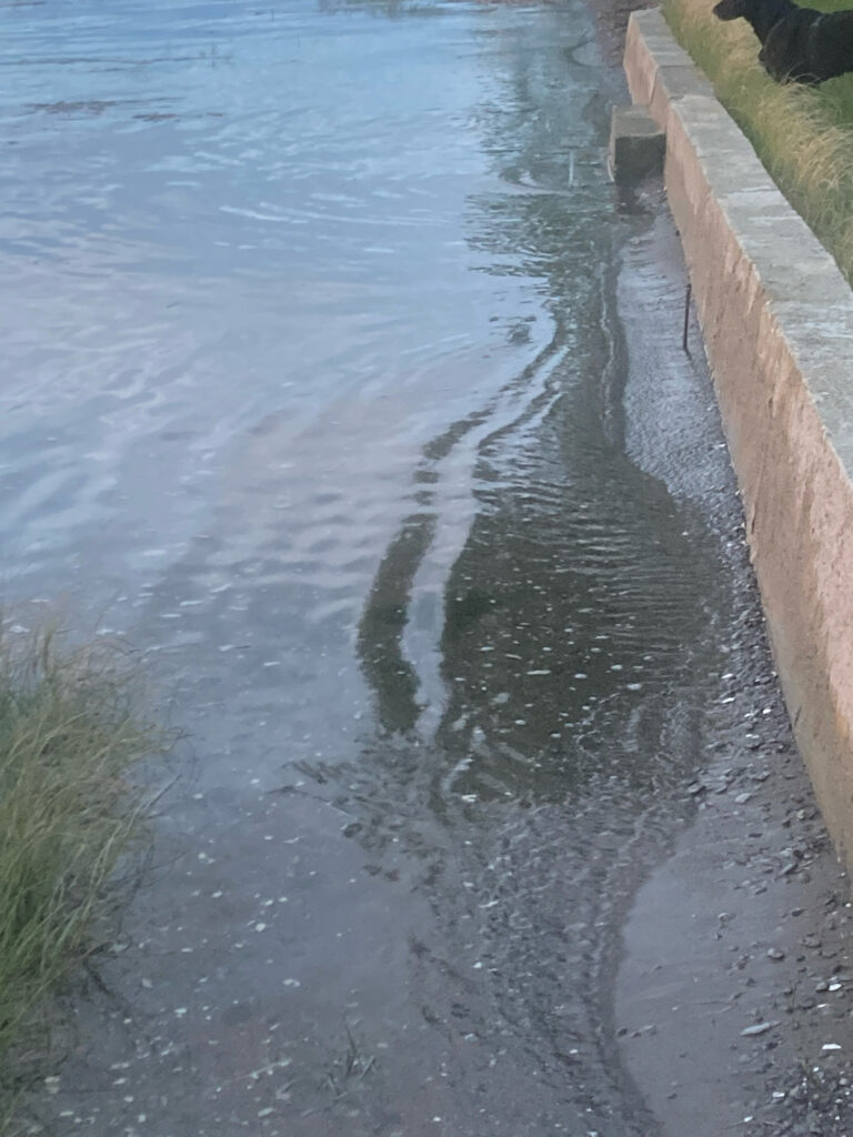 a body of water with grass and a concrete wall (MyCoast AI)
