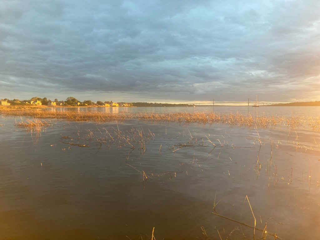 a body of water with a city in the background (MyCoast AI)