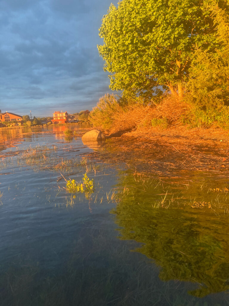 a river with trees and buildings (MyCoast AI)