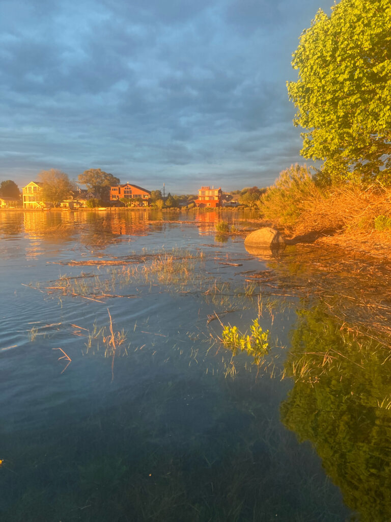 a body of water with trees and buildings around it (MyCoast AI)