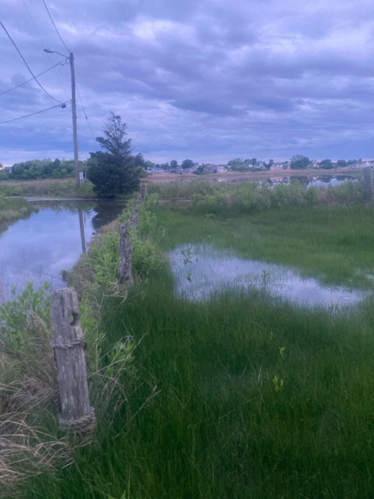 a body of water with grass and trees around it (MyCoast AI)