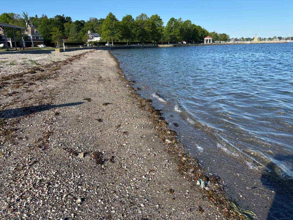 a rocky beach with a body of water and houses in the background (MyCoast AI)