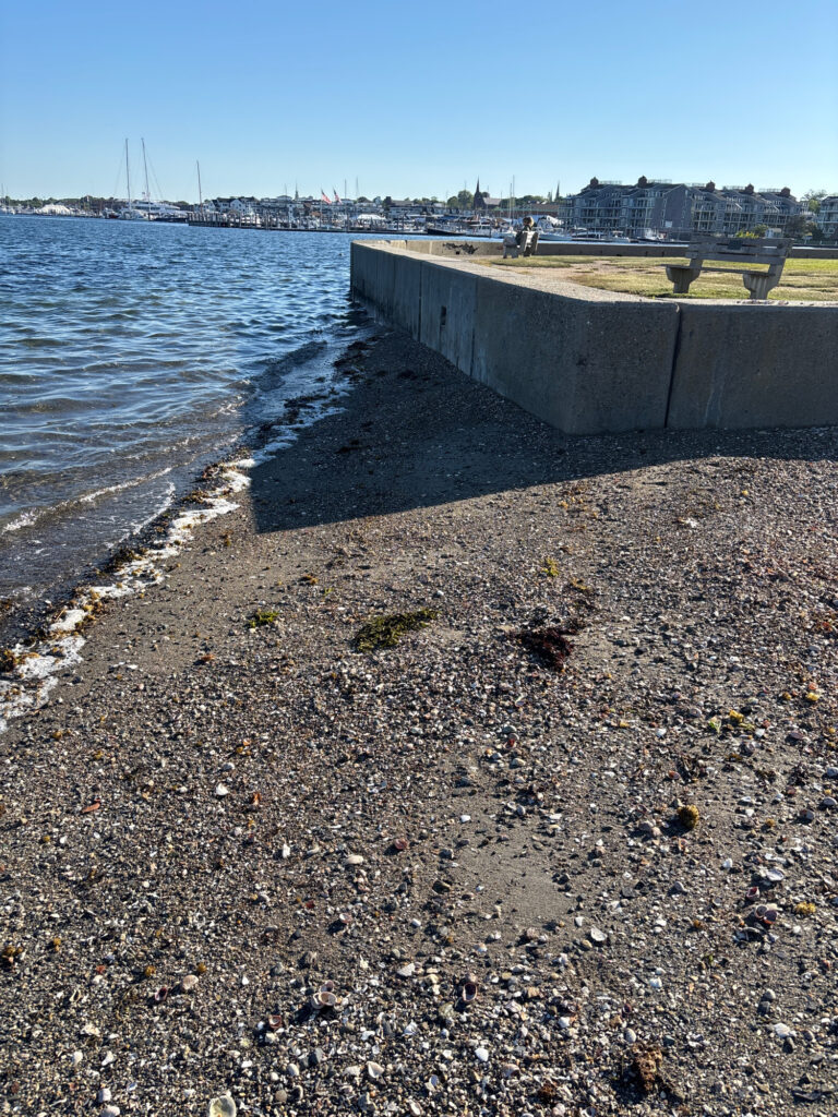 a rocky beach with a concrete wall (MyCoast AI)