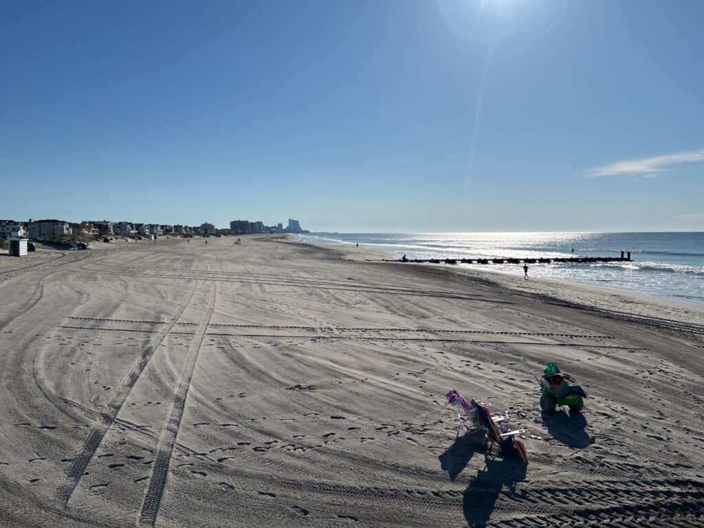 a group of people on a beach (MyCoast AI)