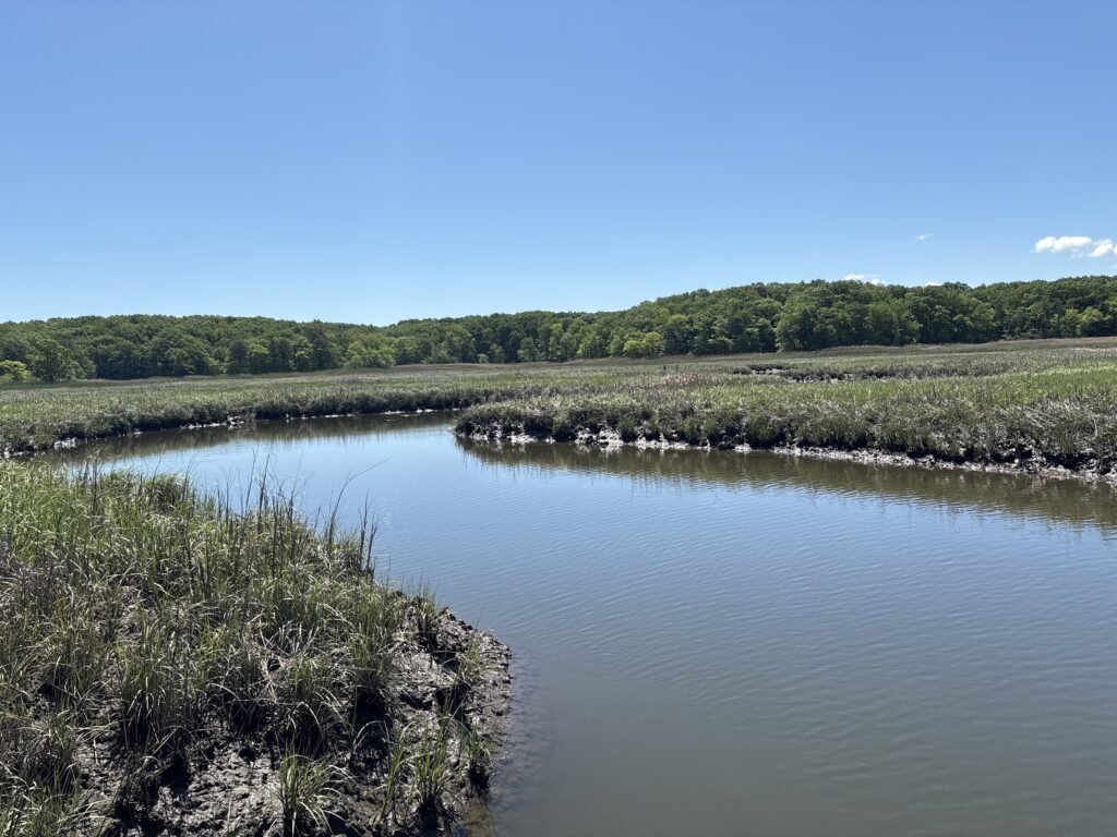 a body of water with plants and trees around it (MyCoast AI)