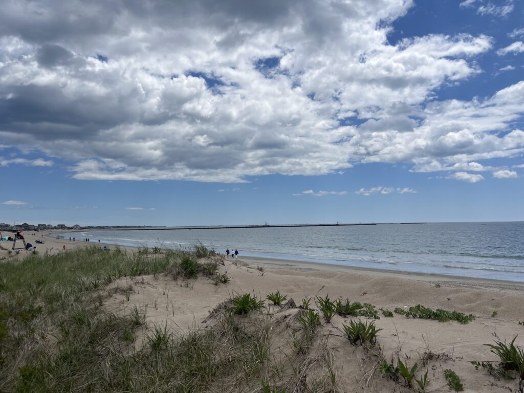 a beach with people on it (MyCoast AI)