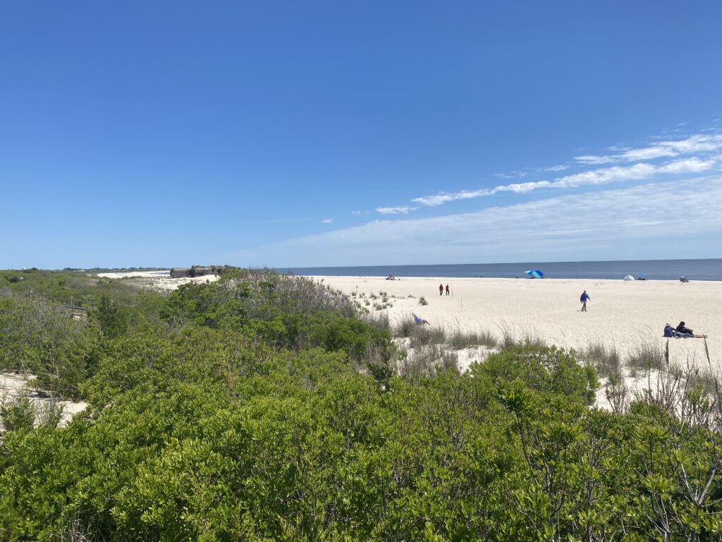 a beach with people walking on it (MyCoast AI)