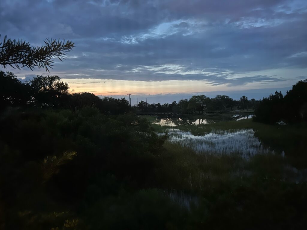 a body of water with trees around it (MyCoast AI)