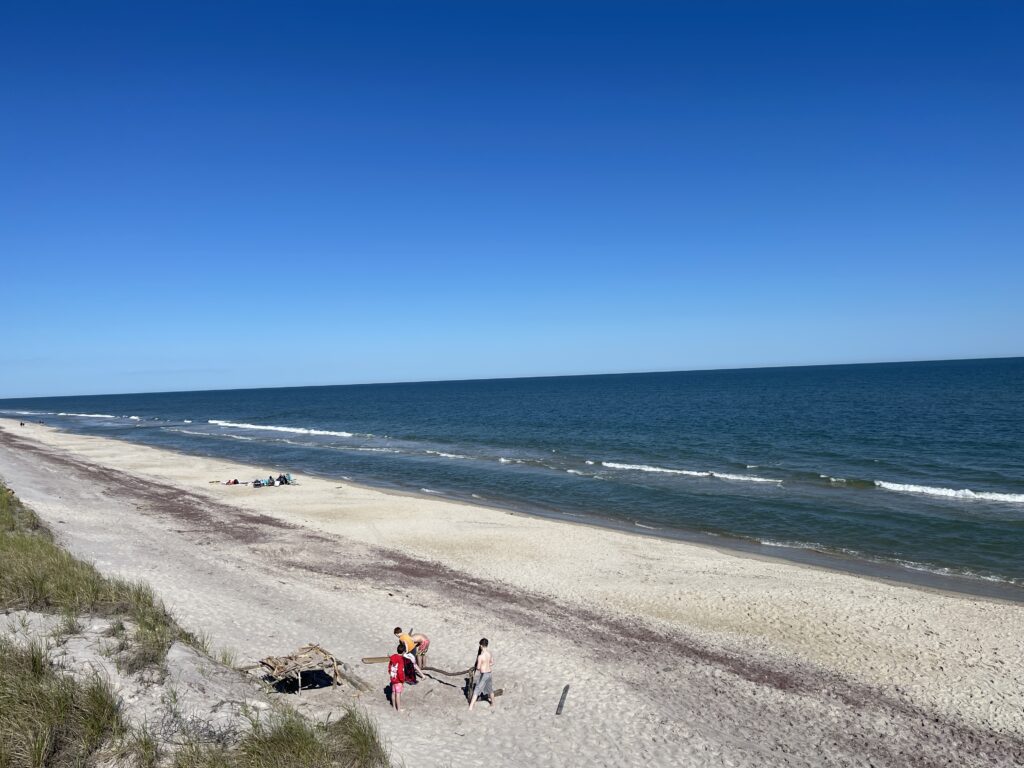 people walking on a beach (MyCoast AI)