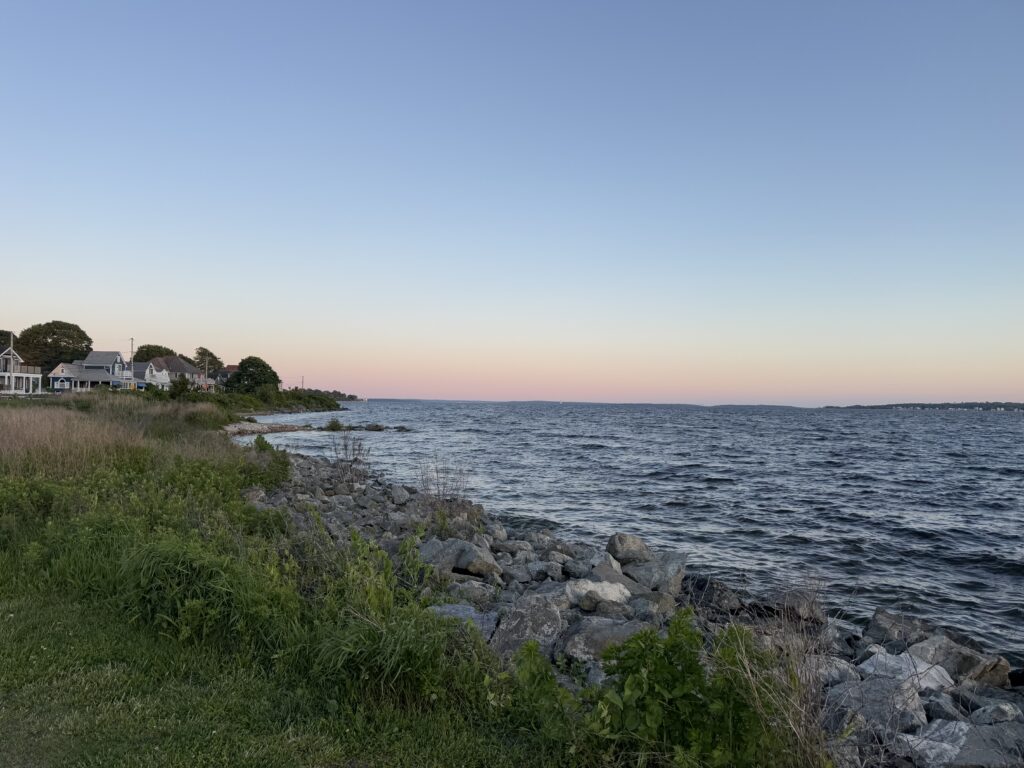 a rocky shore with houses and water (MyCoast AI)