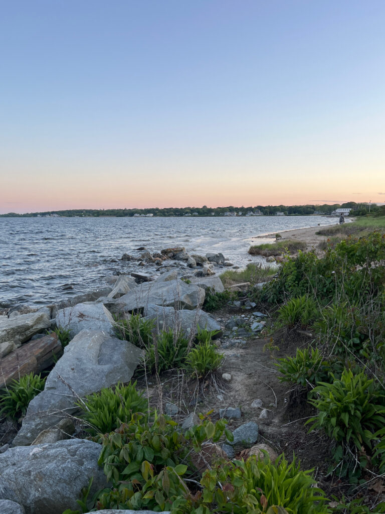 a rocky beach with plants and water (MyCoast AI)