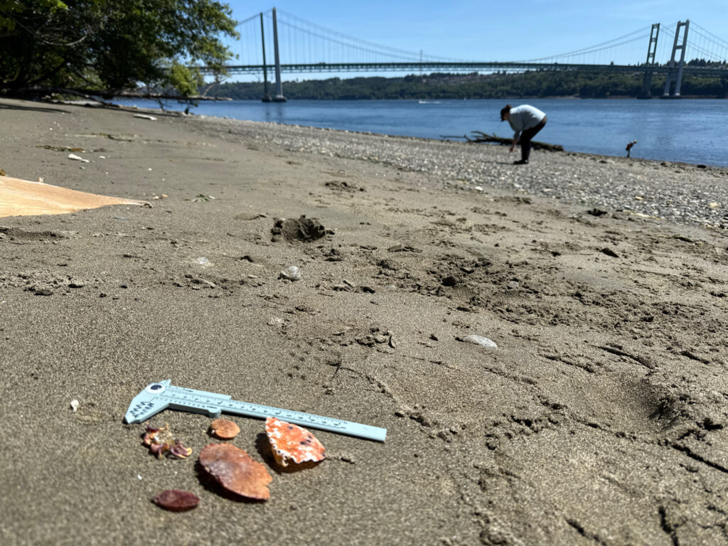 a person stands on a beach (MyCoast AI)