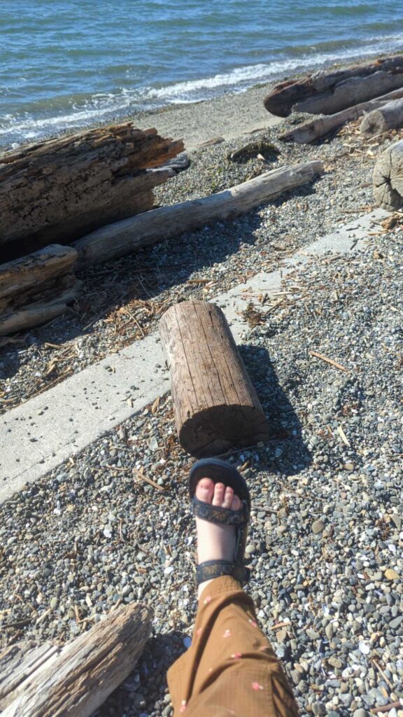 a person's feet on a beach with logs and a body of water in the background (MyCoast AI)