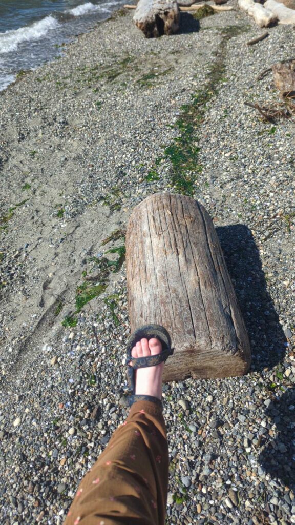 a person's foot on a rock (MyCoast AI)
