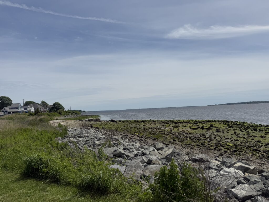 a rocky beach with grass and rocks (MyCoast AI)