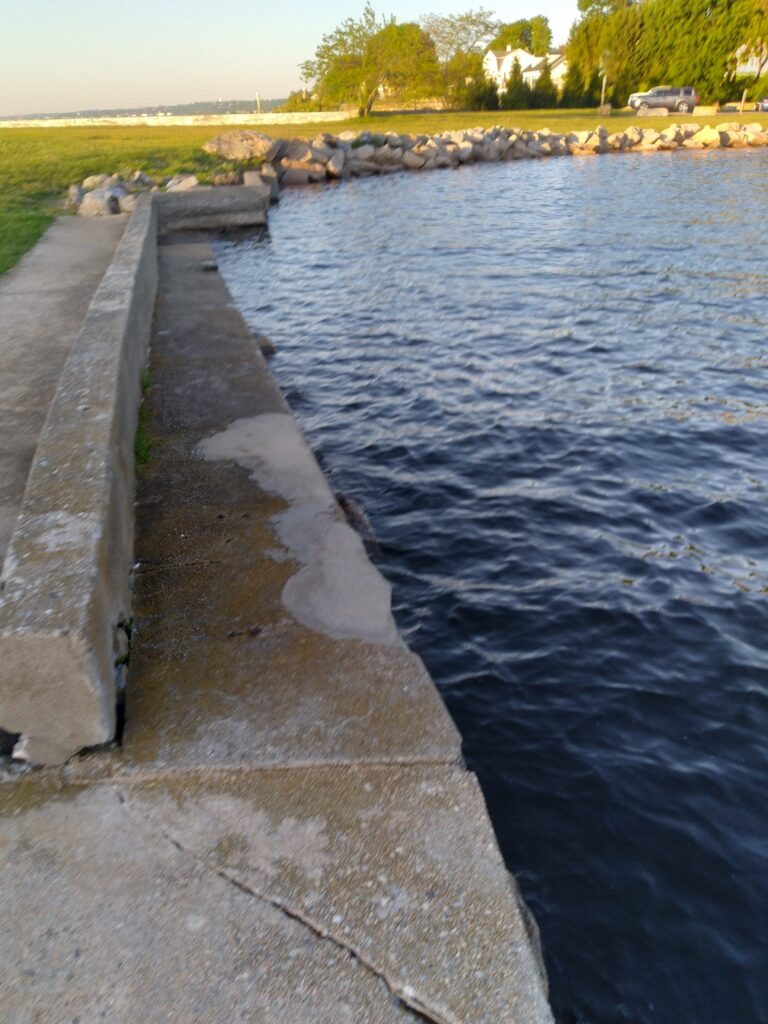 a body of water with rocks and grass around it (MyCoast AI)