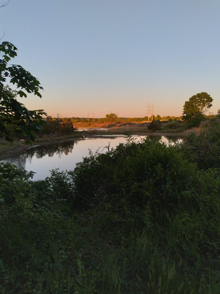 a river with trees and bushes around it (MyCoast AI)