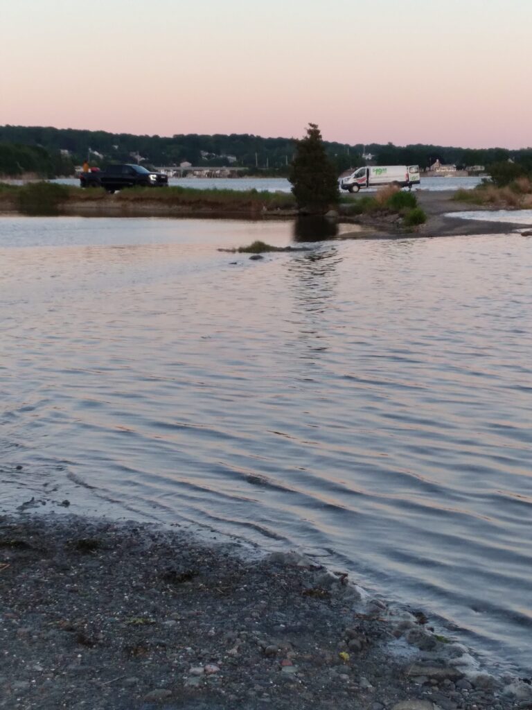 a body of water with a tree and cars in the background (MyCoast AI)