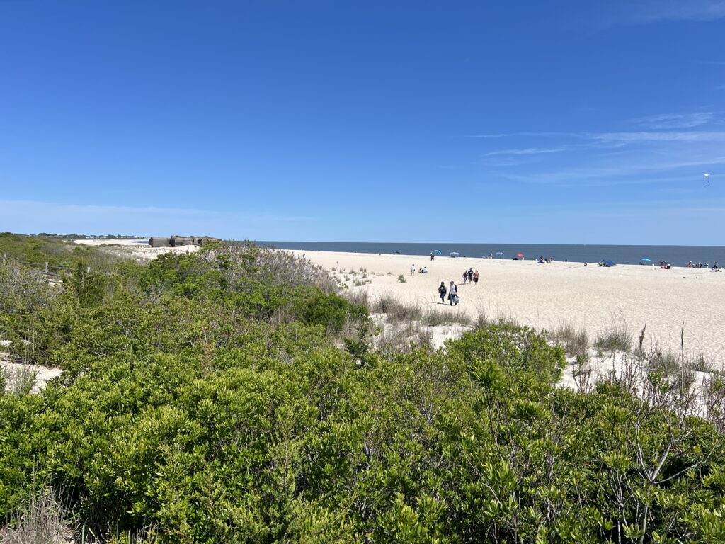a group of people walking on a beach (MyCoast AI)