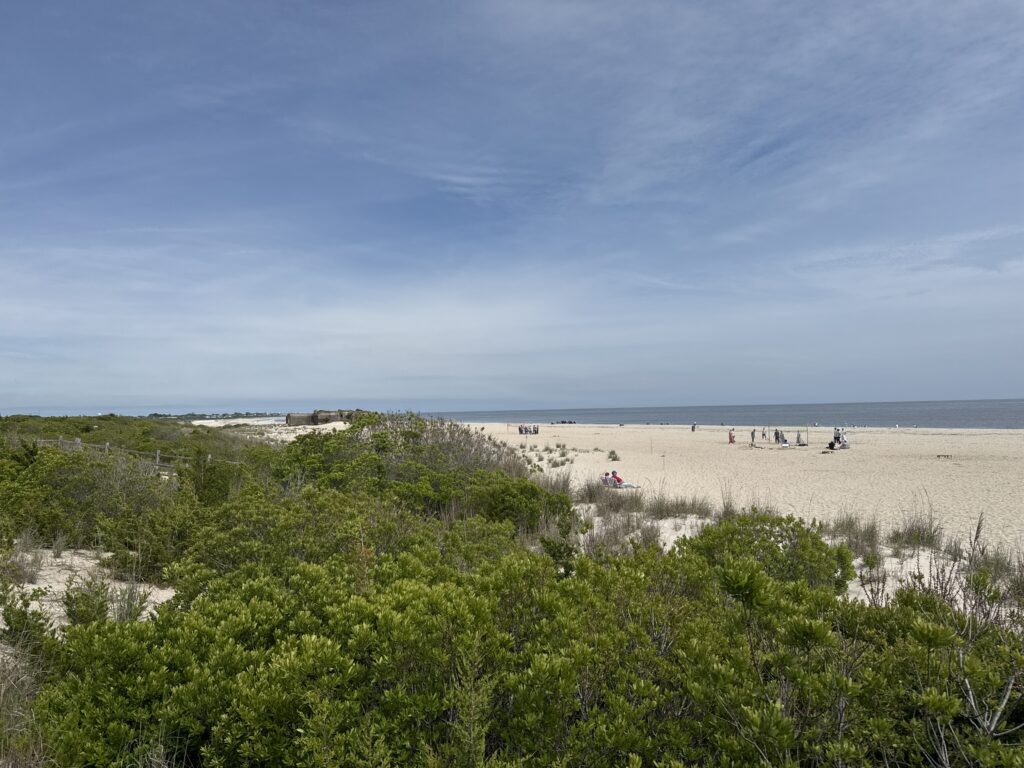 a beach with trees and bushes (MyCoast AI)