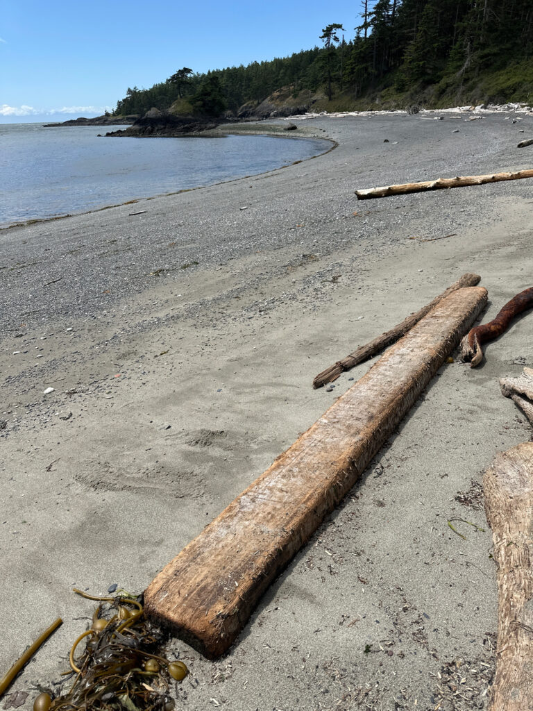 a wood plank on a beach (MyCoast AI)