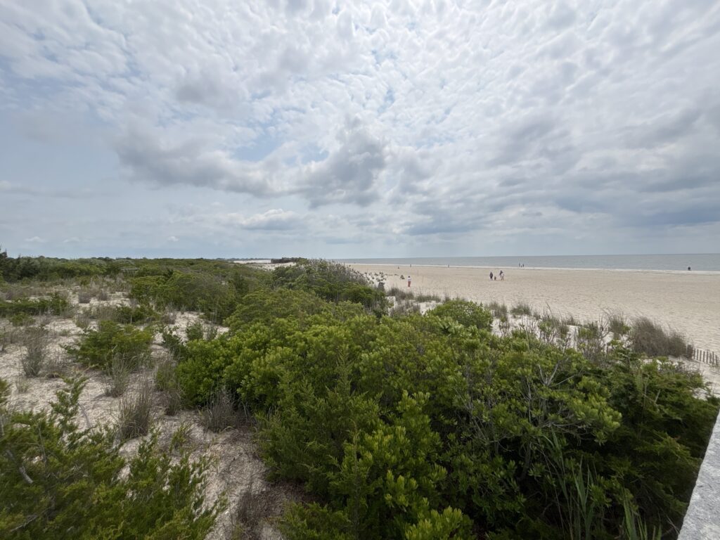 a beach with trees and bushes (MyCoast AI)