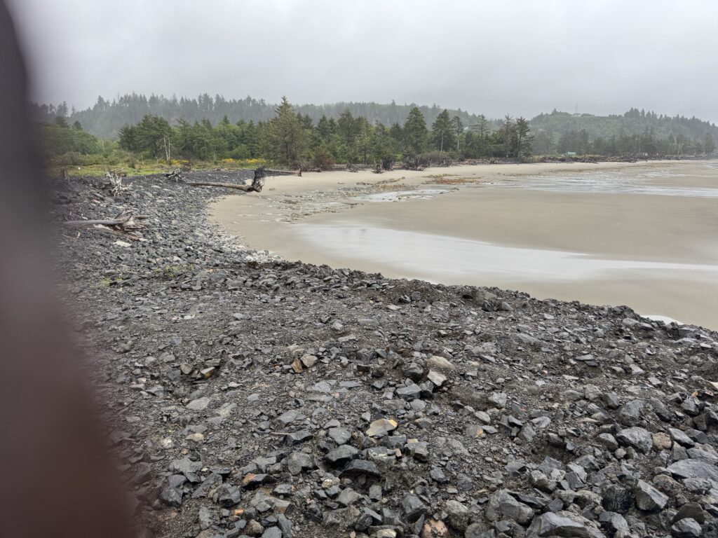 a rocky beach with a body of water and trees in the background (MyCoast AI)