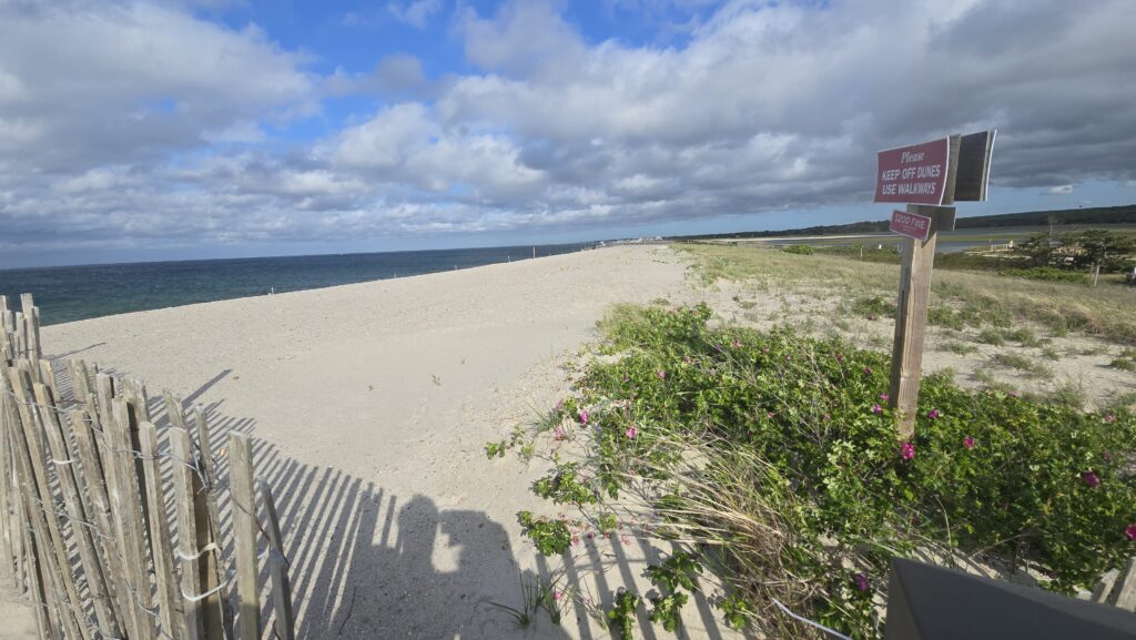 a beach with a sign (MyCoast AI)