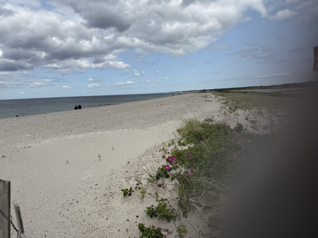 a beach with a body of water (MyCoast AI)