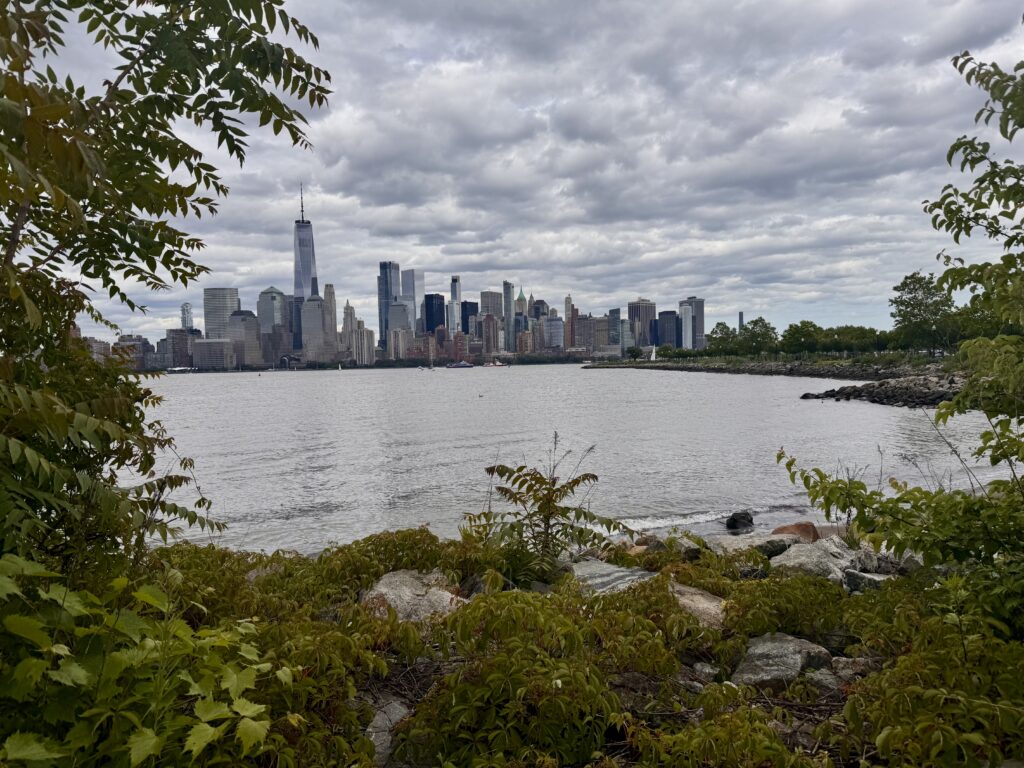 a city skyline across a body of water (MyCoast AI)