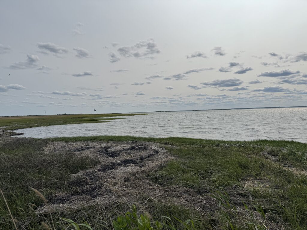 a body of water with grass and sand on the side (MyCoast AI)