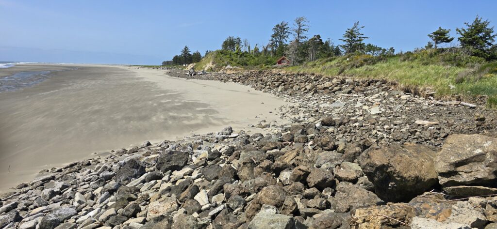 a rocky beach with trees in the background (MyCoast AI)