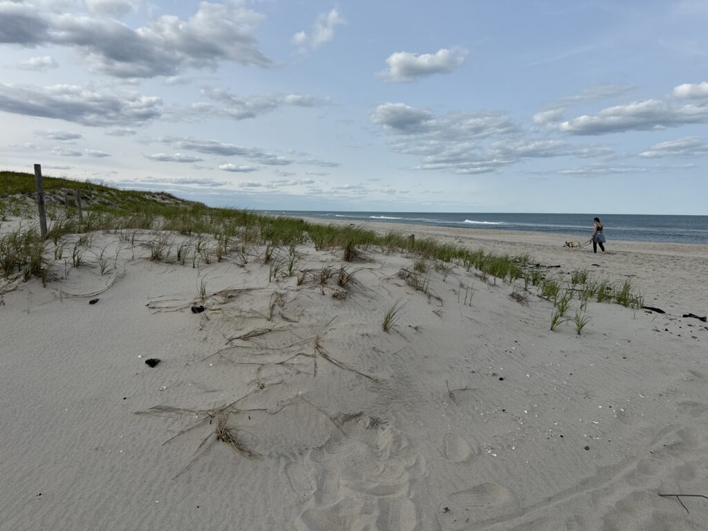 a person walking on a beach (MyCoast AI)
