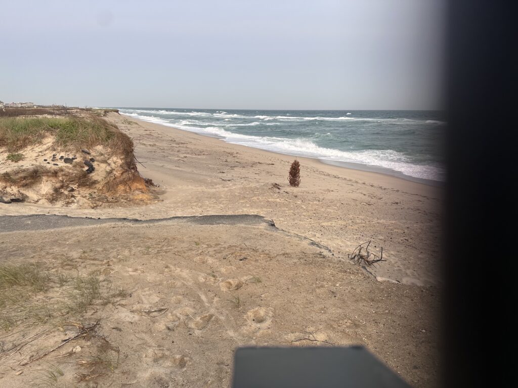 a sandy beach with waves crashing (MyCoast AI)