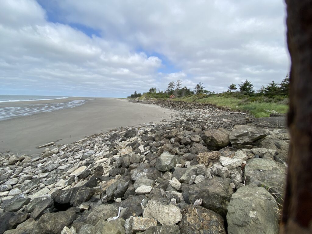 a rocky beach with trees and water (MyCoast AI)