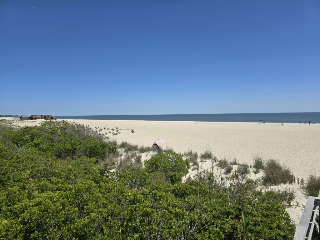 a beach with trees and bushes (MyCoast AI)