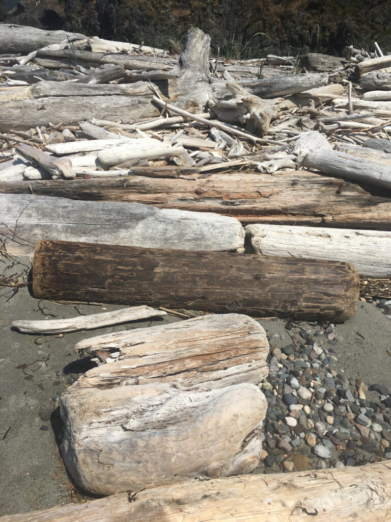 a pile of wood (MyCoast AI)