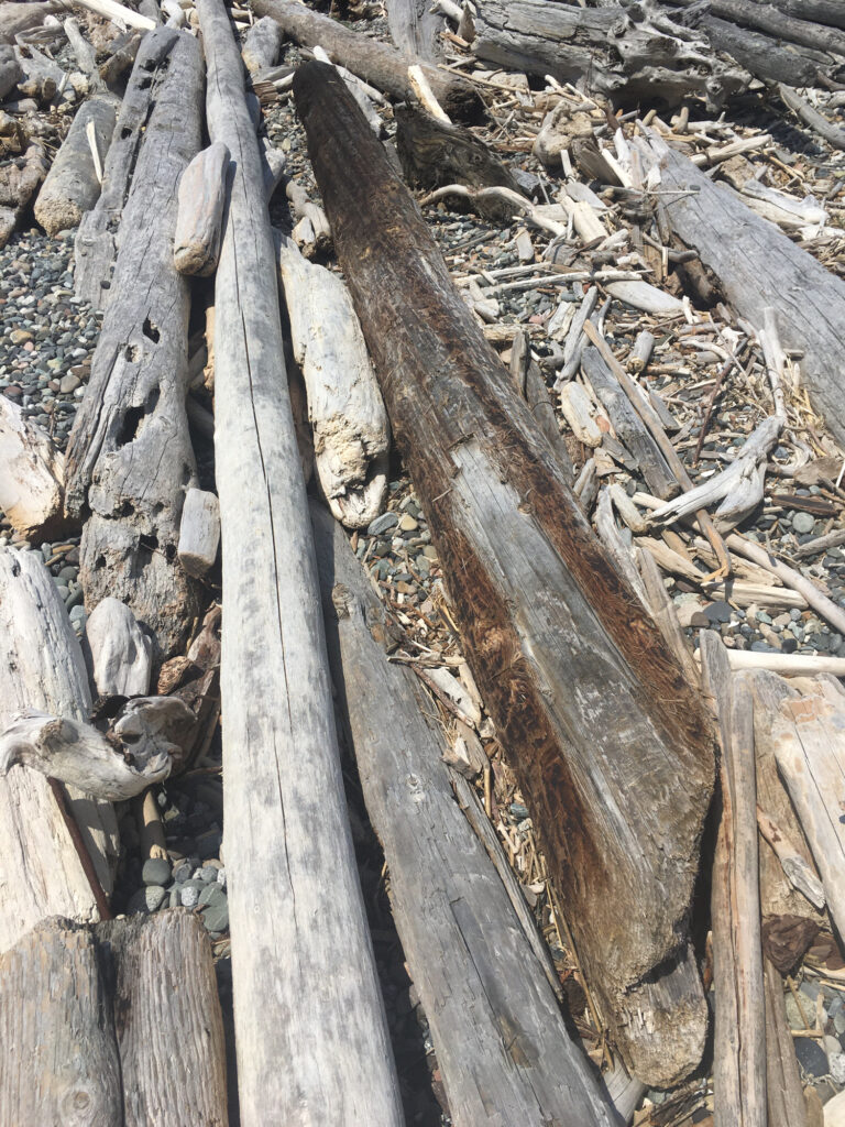 a close-up of a wooden fence (MyCoast AI)