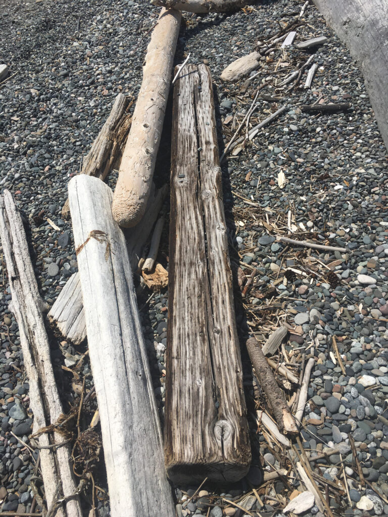 a group of wood sticks (MyCoast AI)