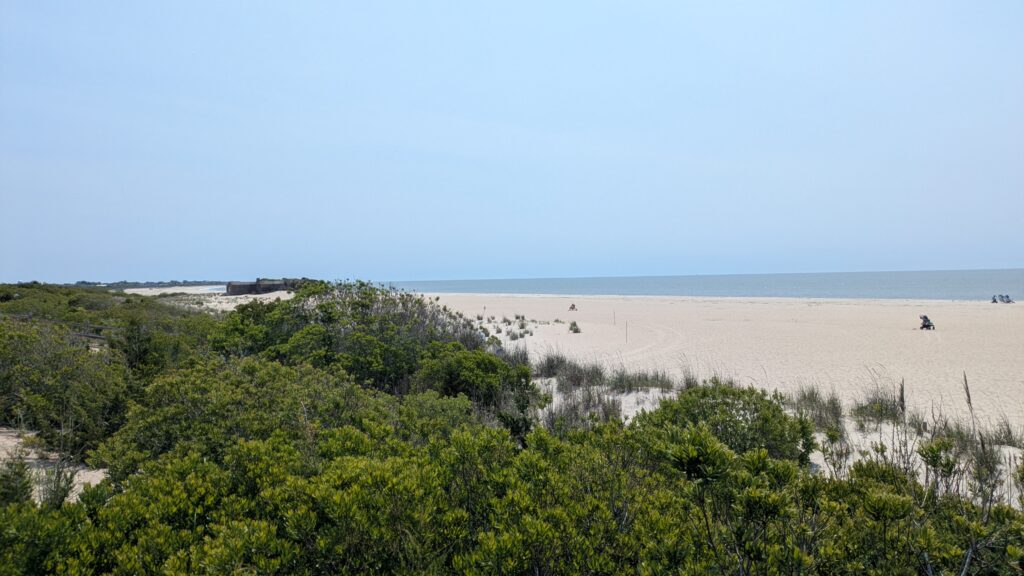 a landscape with trees and a body of water in the background (MyCoast AI)