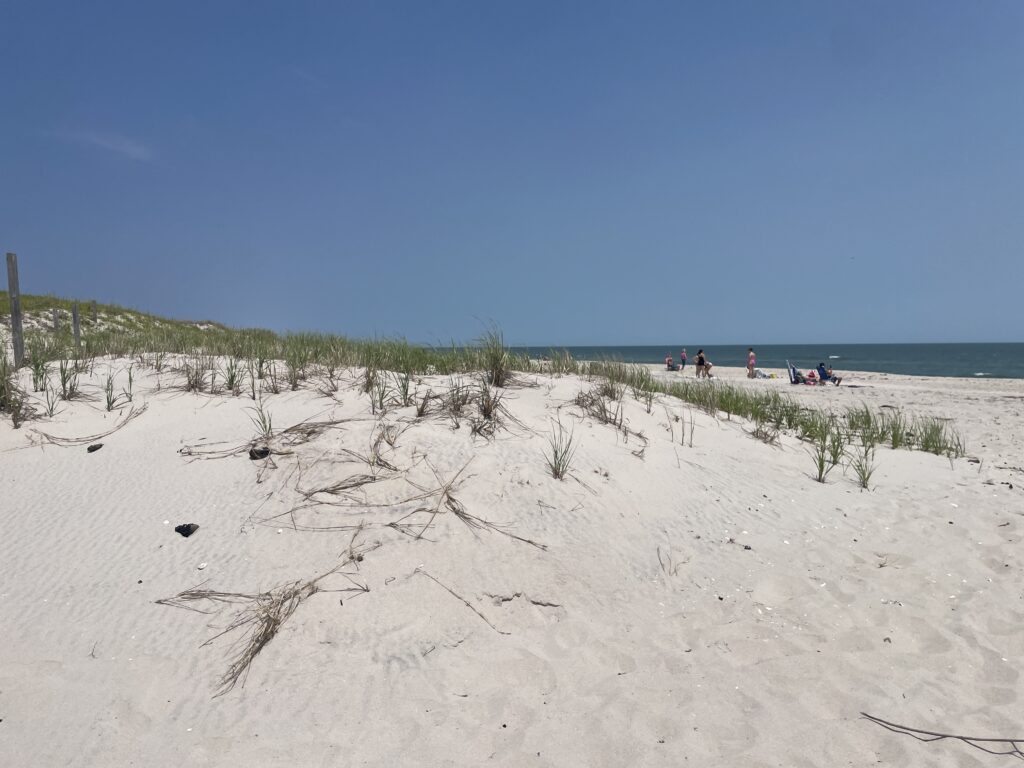 a beach with people walking on it (MyCoast AI)