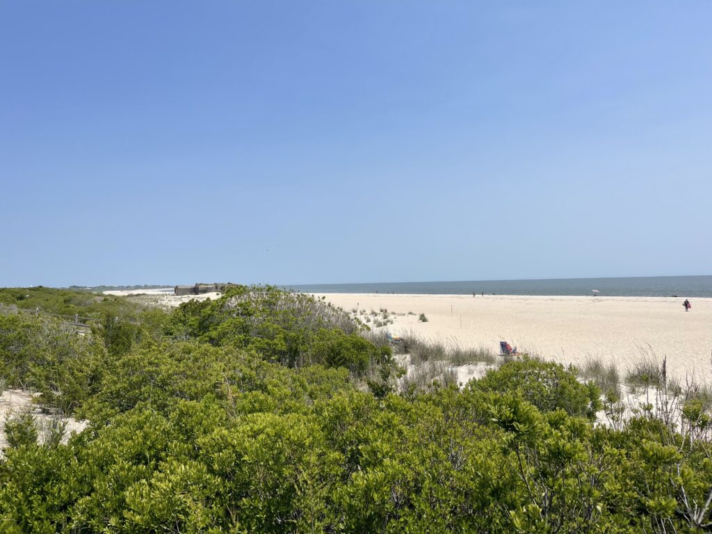 a group of people walking on a beach (MyCoast AI)