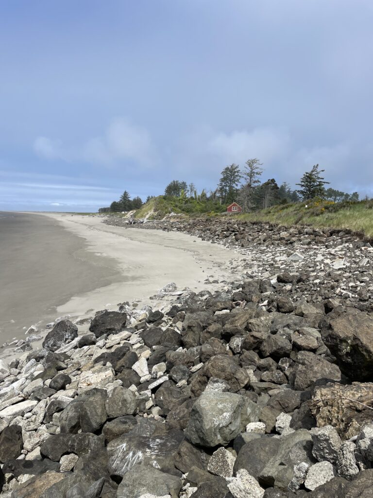 a rocky beach with trees and a hill in the background (MyCoast AI)