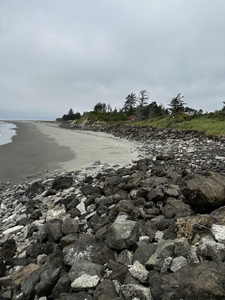 a rocky beach with trees and water (MyCoast AI)