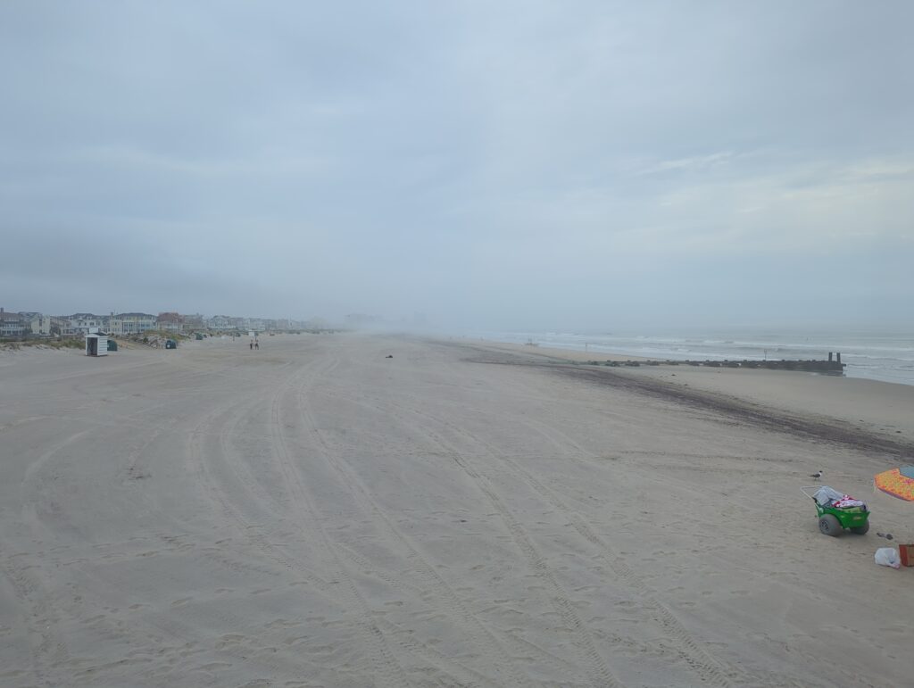 a sandy beach with a body of water in the background (MyCoast AI)