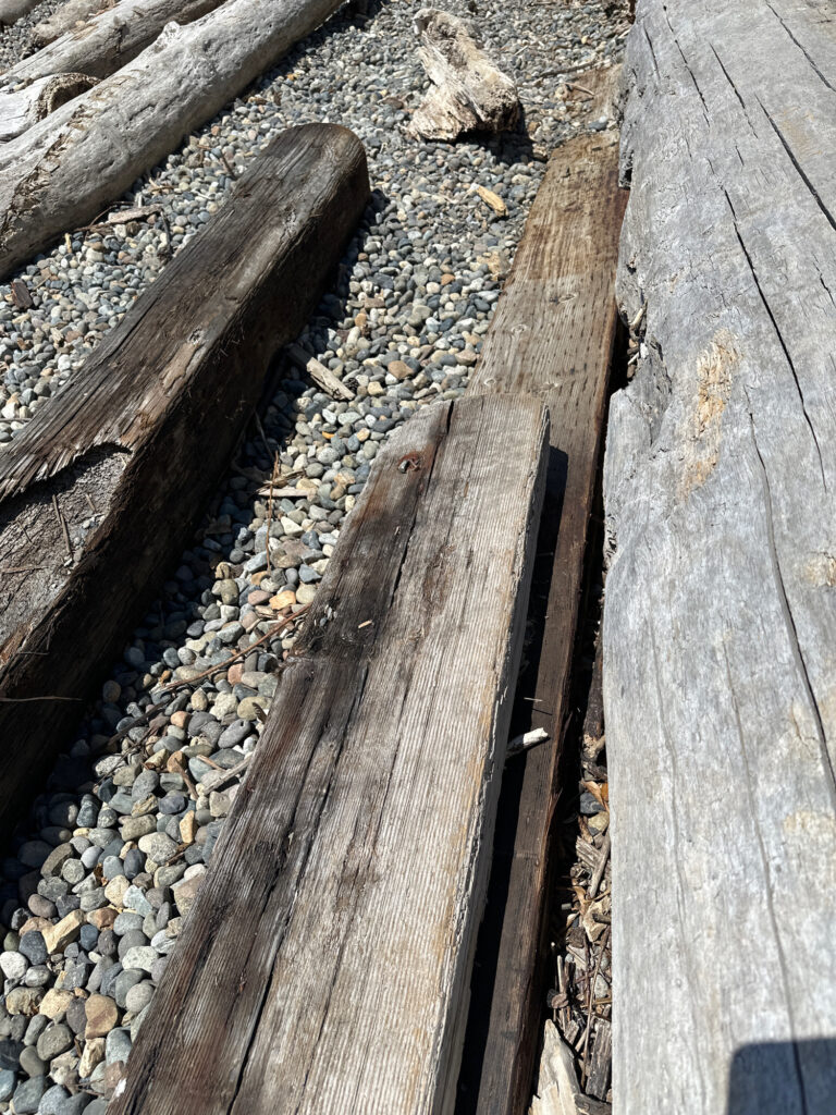 a group of wooden planks (MyCoast AI)