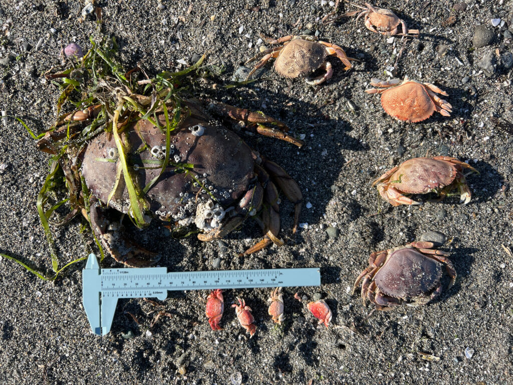 a sign on the ground (MyCoast AI)