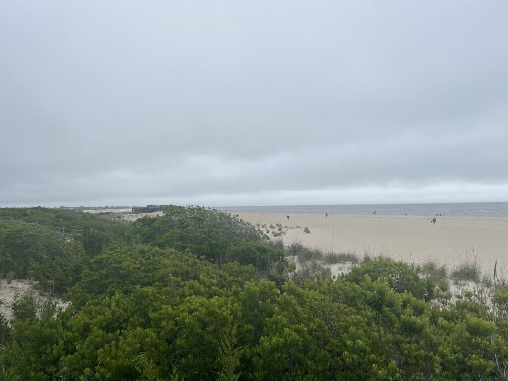 a beach with trees and bushes (MyCoast AI)