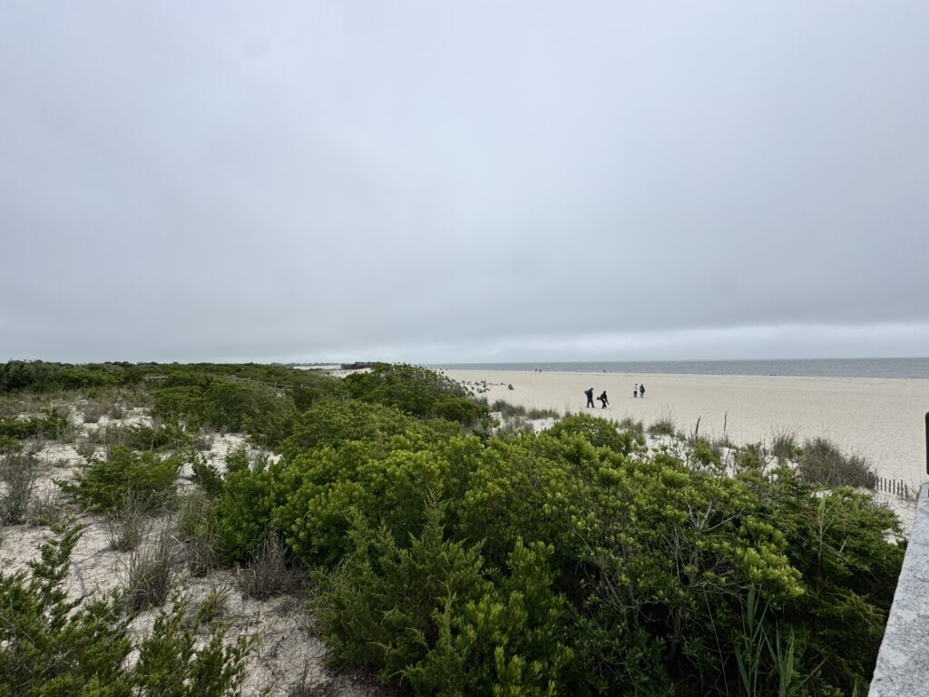a group of people walking on a path by a beach (MyCoast AI)